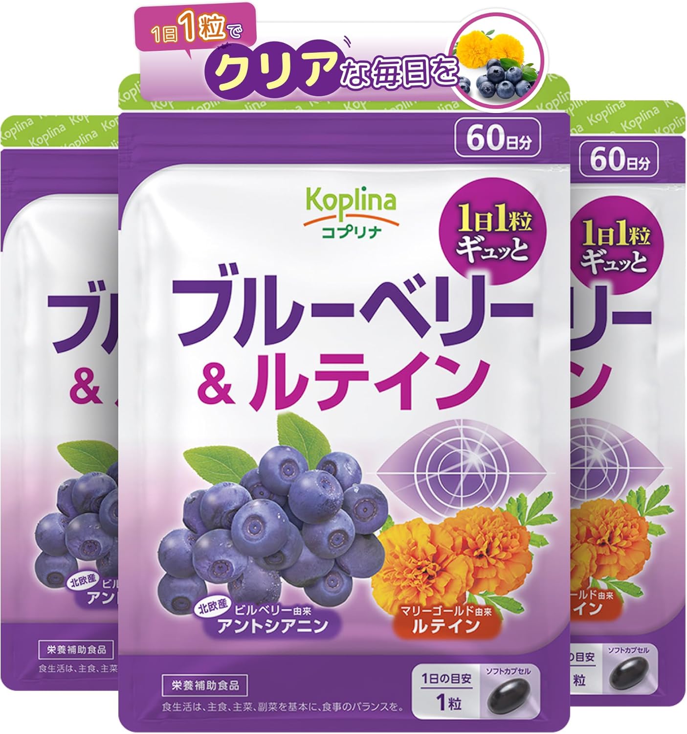 正信念佛偈 小林信子 静坐社 昭和44年（1969年）8月刊 希書 正信 偈